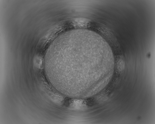 X0000115380709200912011205