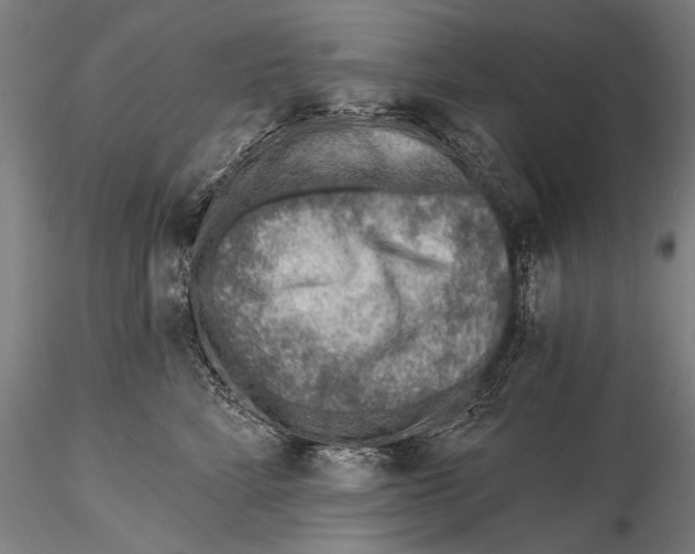 X0000115380712200912011205