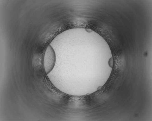 X0000115380713200912011205