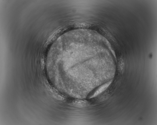 X0000115380716200912011205