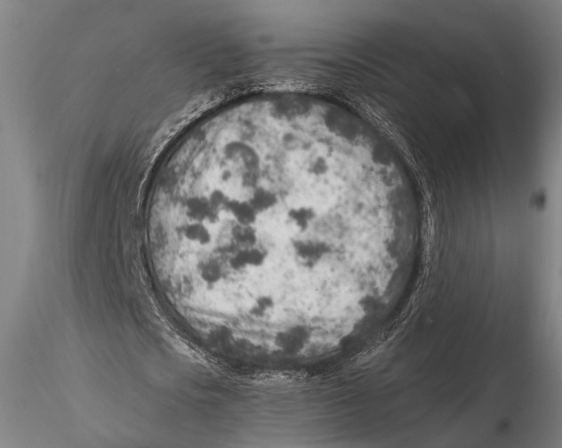 X0000115380721200912011204