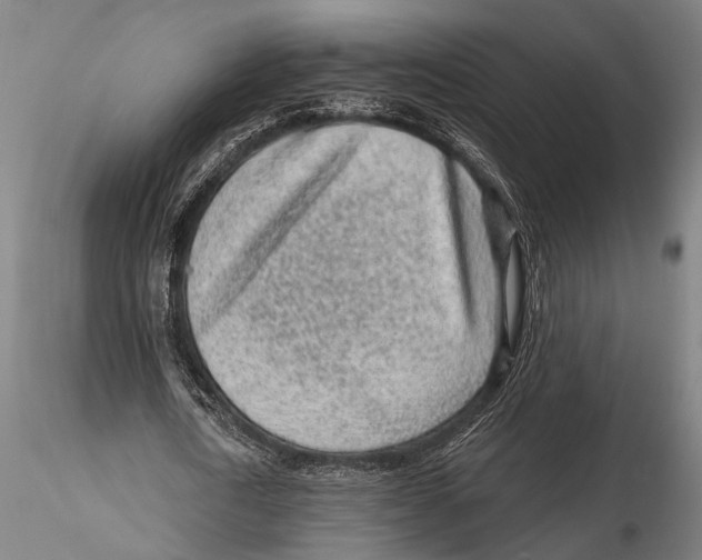 X0000115380722200912011204