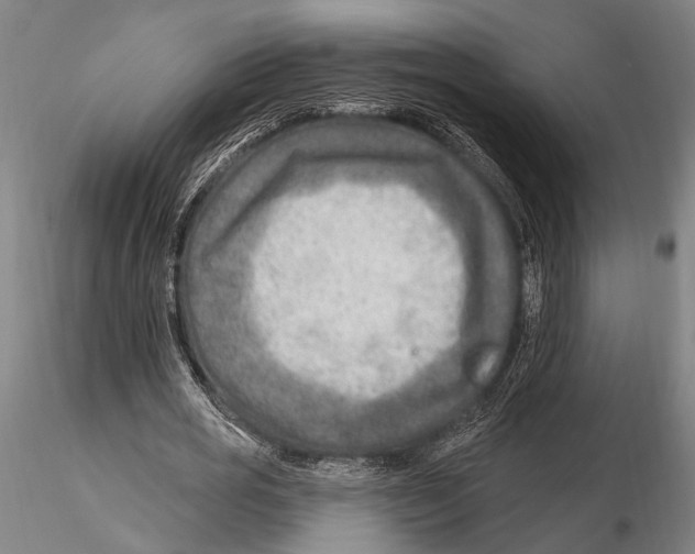 X0000115380725200912011204