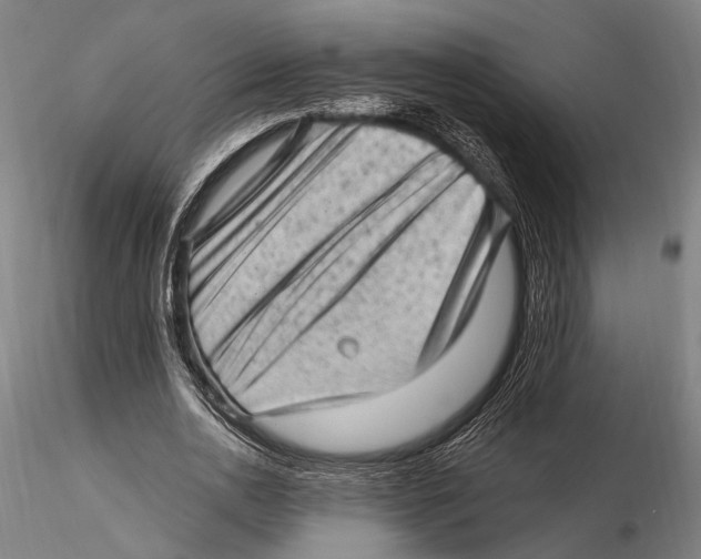 X0000115380726200912011204