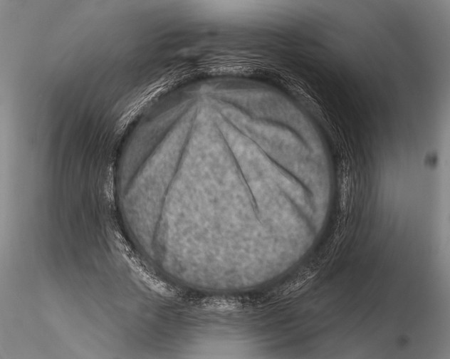 X0000115380729200912011204