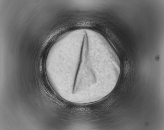 X0000115380731200912011205