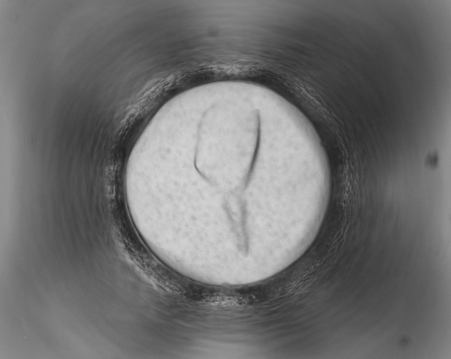 X0000115380738200912011205