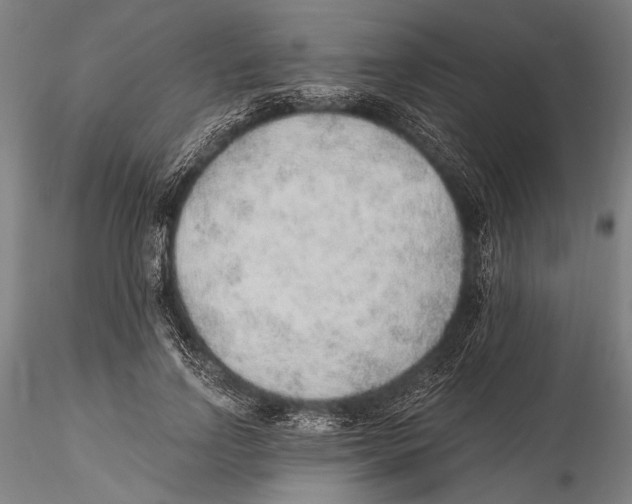 X0000115380742200912011205