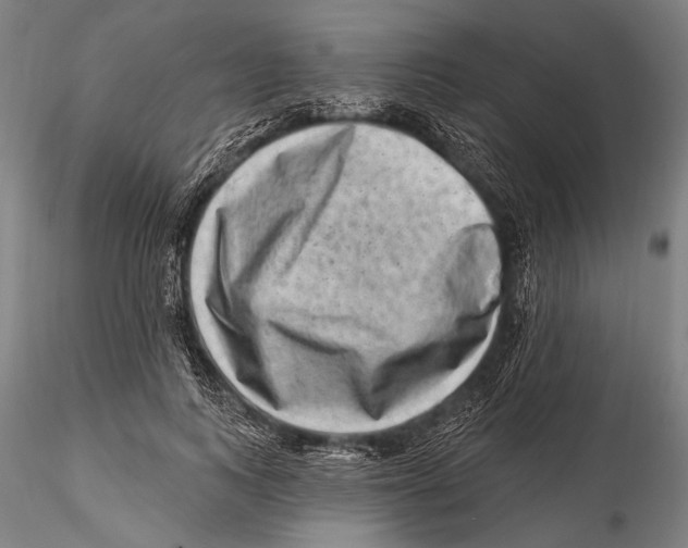 X0000115380743200912011205