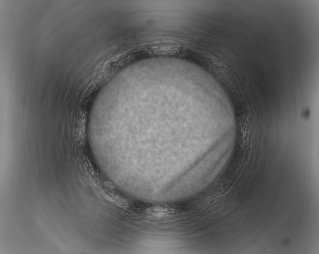 X0000115380745200912011205