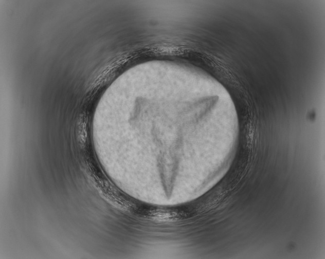 X0000115380746200912011205