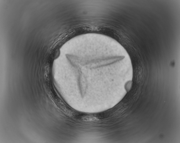 X0000115380747200912011205