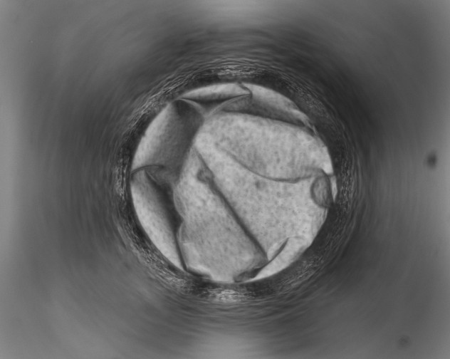 X0000115380755200912011205