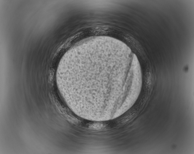 X0000115380759200912011205