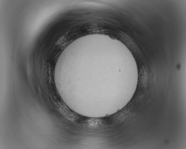 X0000115380762200912011205