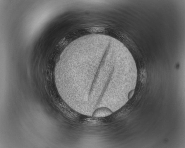 X0000115380763200912011205