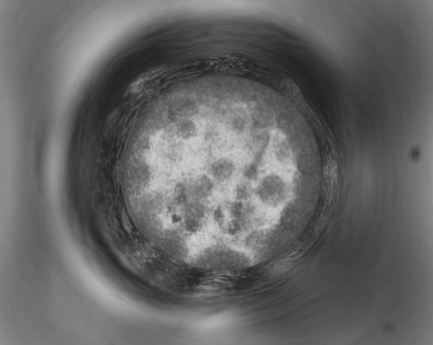 X0000115380765200912011205