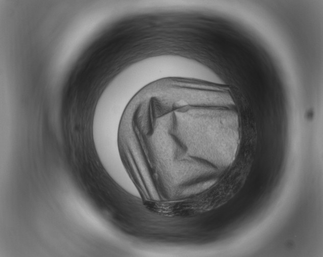 X0000115380766200912011205