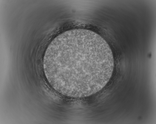 X0000115380769200912011204