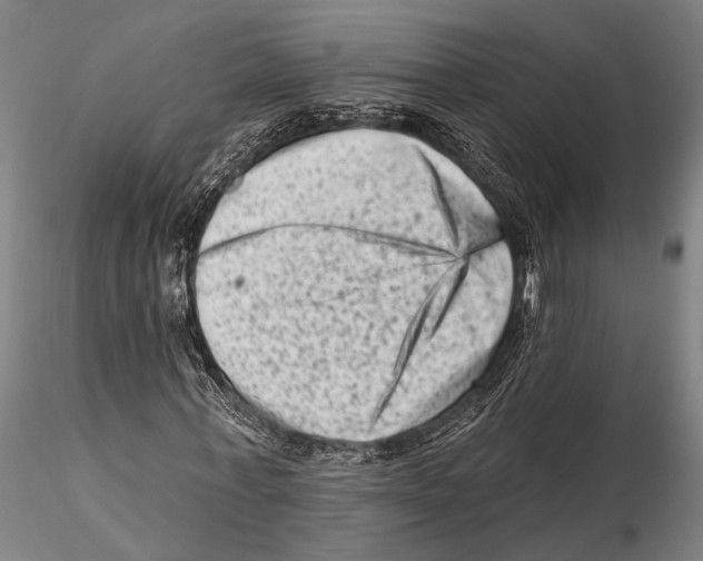 X0000115380771200912011204