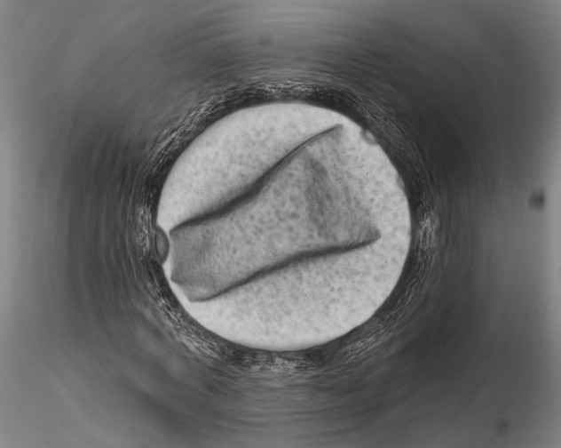 X0000115380772200912011204