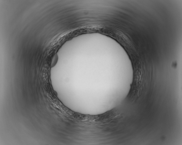 X0000115380773200912011204