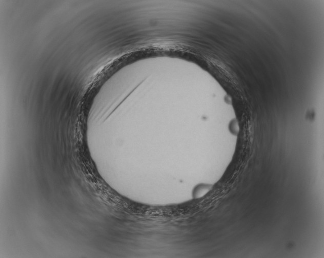 X0000115380776200912011204