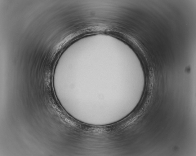 X0000115380778200912011204