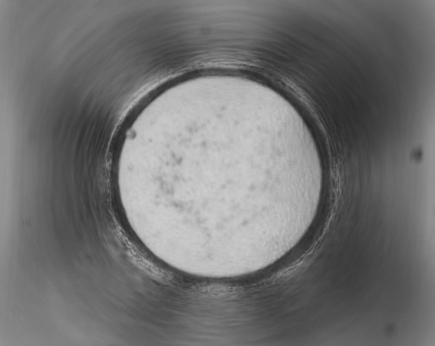 X0000115380779200912011204