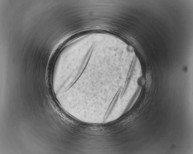 X0000115380780200912011204