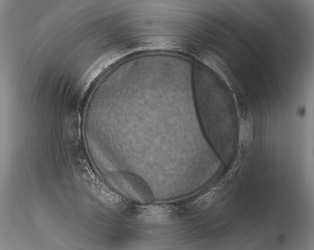 X0000115380781200912011204