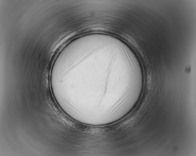 X0000115380782200912011204