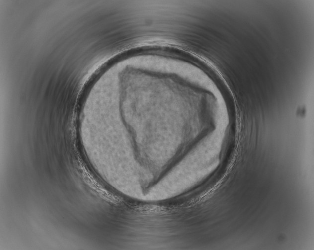 X0000115380783200912011204