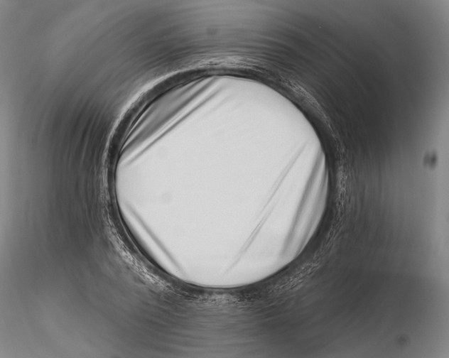 X0000115380784200912011204