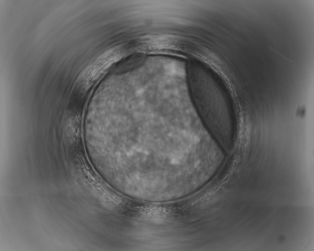 X0000115380785200912011204