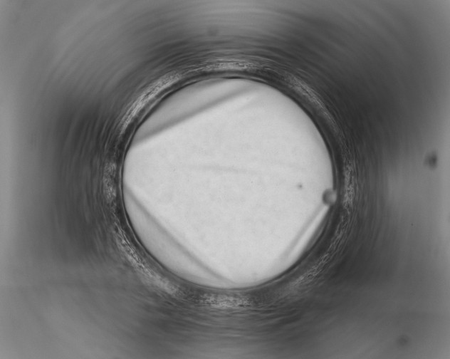 X0000115380786200912011204