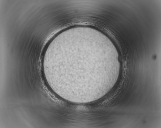 X0000115380787200912011204