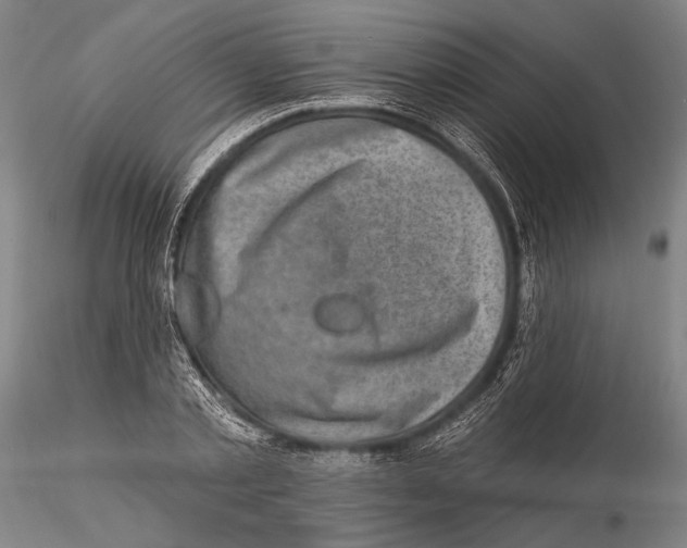 X0000115380789200912011204