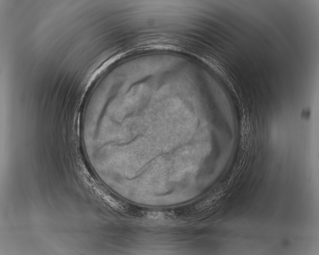 X0000115380790200912011204