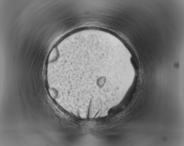 X0000115380791200912011204