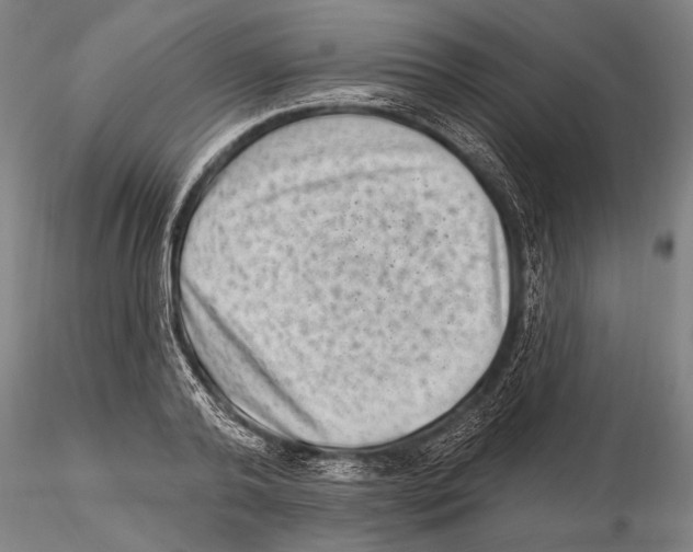 X0000115380792200912011204