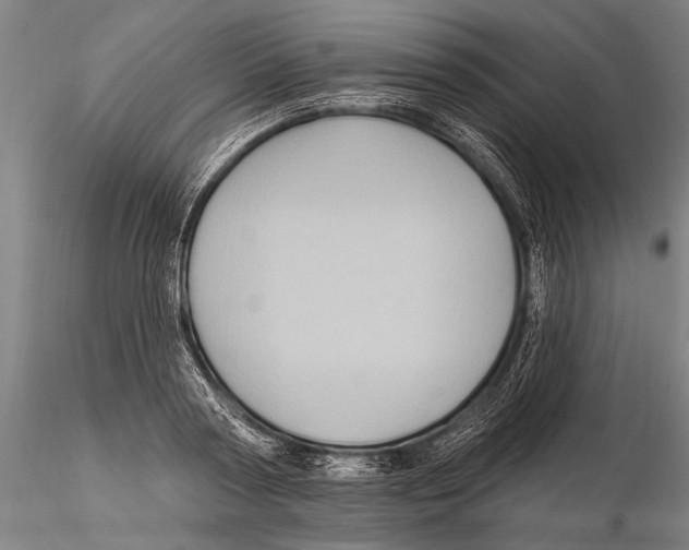 X0000115380794200912011204