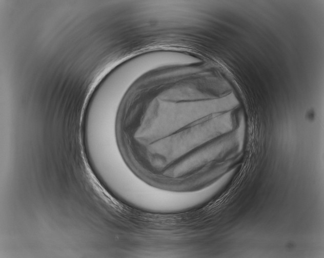 X0000115380795200912011204