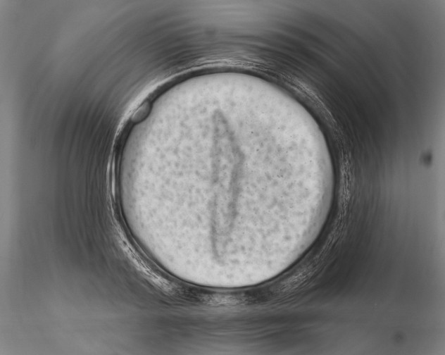 X0000115380796200912011204