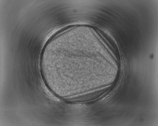 X0000115380797200912011204