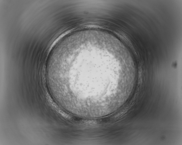 X0000115380798200912011204