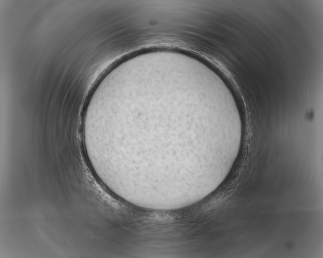 X0000115380799200912011204