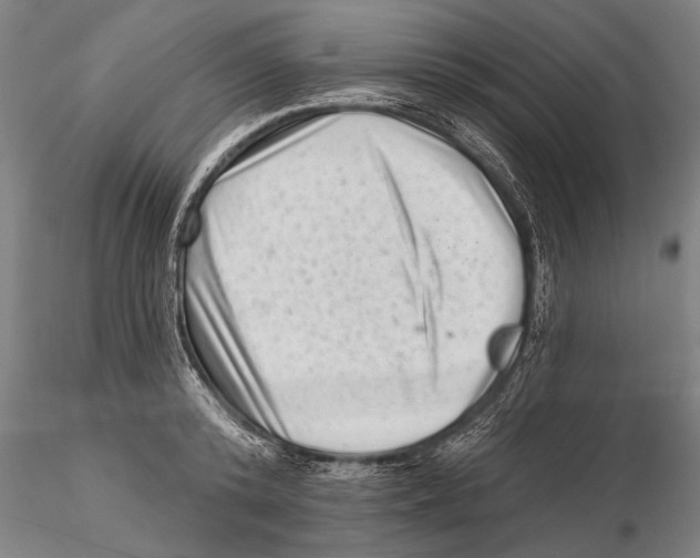 X0000115380800200912011204