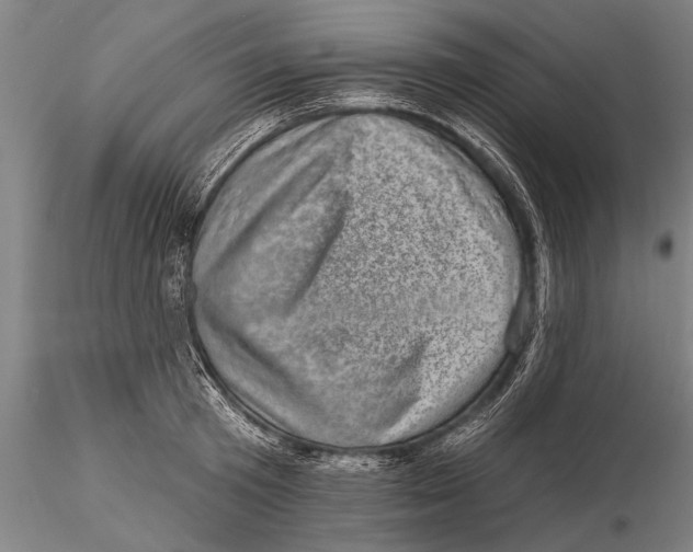 X0000115380801200912011204