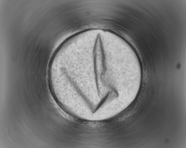 X0000115380803200912011204